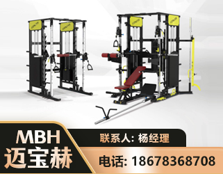 葫芦岛多功能综合训练器