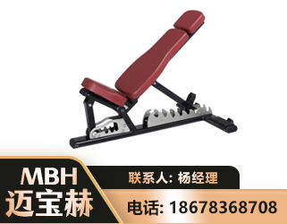 葫芦岛可调哑铃椅