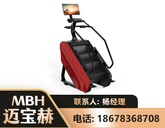 葫芦岛商用楼梯机