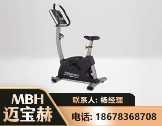 葫芦岛立式健身车